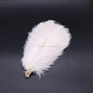 Wholesale high quility for sale - Group buy Wholasale high quility cm Elegant White ostrich feathers cm for craft wedding party supplies Carnival dancer decoration plumages