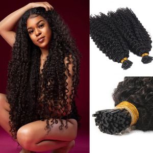 Afro kinky Curly I Tip Human Hair Extension Virgin Brazilian Keratin Pre Bonded Stick Microlinks itip Natural Black g