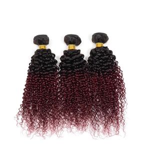Unprocessed Cambodian Virgin Hair Color Ombre b j Kinky Curly Bundles Human Hair Weaves extensions