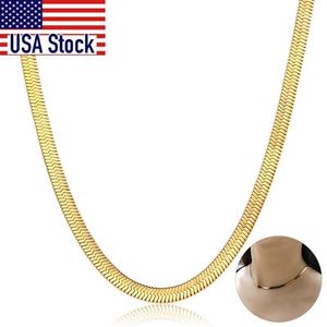 Kedjor Chic Flat Snake Link Choker Guld Färgkrage Rostfritt Stål Halsband för kvinnor Sillbenkedja Högkvalitativa Smycken DN223A1