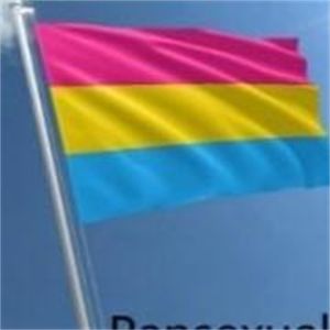 продажа флаги и баннеры оптовых-90x150 см Бисексуальный флаг лесбийский гей гордость полиэстера радуги флаги фестиваль вечеринка баннер украшения горячие продажи qt b2