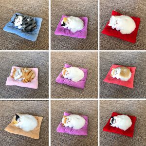 Wholesale Plush Cats - Buy Cheap in Bulk from China Suppliers with