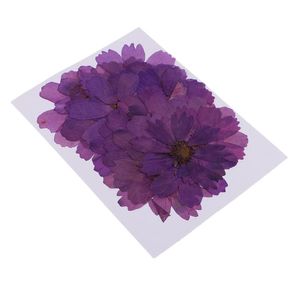 Decorative Flowers Wreaths Pressed Coreopsis Real Dried Flower Scrapbooking Embellishment Purple