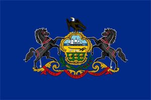 3x5 FTS cmアメリカ合衆国ペンシルベニア州国旗100 ポリエステルバナーFlags PA州直接工場OWD13296