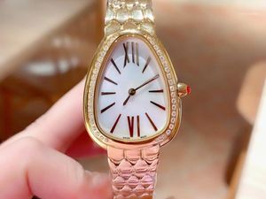 2021 Wristwatches Women Watches Quartz Movement Snake Watch Drill Ring Clock Simple And Elegant11