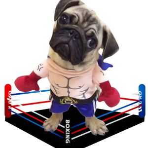 boxer dog clothing boxer dog clothing