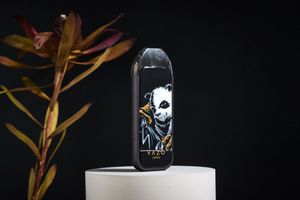 meyve sigarası toptan satış-Vazo Zippo E Sigares Kitleri Modülü Moda Lüks Marka Elektronik Sigara Nebulizatör Puffs USB Şarj Uzun Süreli Bekleme Meyve Tadı Sigaralar Kungfu Panda