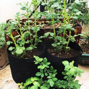 Wholesale tomato plant in pot for sale - Group buy Planters Pots Moisturizing Potato Planting Bag Non woven Beauty Plant Growth Tomato Young Strawberry Tree Pot Seedling Vegetable Felt N0f7