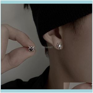 Wholesale rhinestone star earrings resale online - Earrings Jewelry Stud Exquisite Sier Color Shiny Rhinestone Star Earring For Women Men Couples Charm Party Friendship Gift Drop Delivery