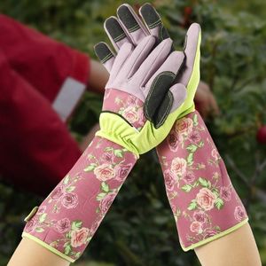 Wholesale ladies arms for sale - Group buy Disposable Gloves Gardening Thorn Proof Ladies Garden Gauntlet With Long Sleeves For Women Arms Elbow Protective