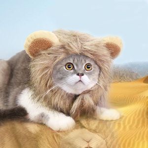 Wholesale lion winter hat resale online - Cat Costumes Pet Hat Costume Cosplay Lion Mane Wig Cap With Ears Kitten Adjustable Dress Up Halloween Supplies Autumn Winter