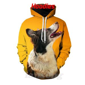 Mäns Hoodies Sweatshirts Plus Size Sportkläder Söt Hund Gul Bakgrund D Tryck Mode Hoodie Män Sweatshirt Harajuku Funny Street Hip