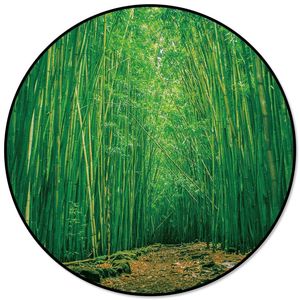 suelo de bambú verde al por mayor-Alfombras Verde Bambú Redondo Alfombra Silla Silla Mat Soft For Sala Sala Antideslizante Alfombra Dormitorio Decoración
