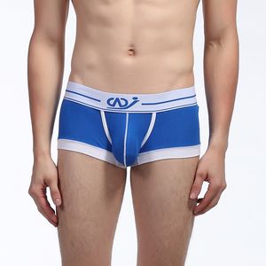 Märke Wangjiang Man Sexig Modal Spandex Boxers Shorts Underkläder Gay Man Ice Silk Trunks Panties