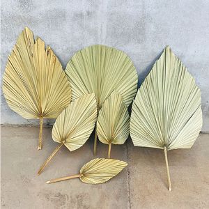 decoration trees toptan satış-1 ADET Kurutulmuş Çiçek Doğal PU Fan Yaprak DIY Ev Dükkanı Ekran Dekorasyon Malzemeleri için Korunmuş Yapraklar Palmiye Ağacı Düğün Dekor için V2