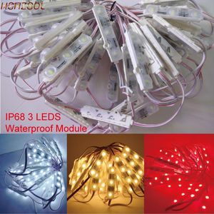 100PCS LED moduler Injektionsbar Ljusvit Värmevwhite Blue Red Module Vattentät IP68 DC12V för dekorationsremsor