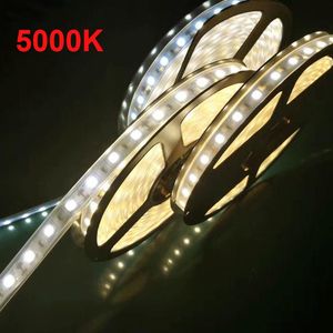 5000 karat led
 großhandel-Streifen V V Hight High Streifen k High Power leds M LED LED ROLLE NICHT wasserdicht für Konferenzsaal