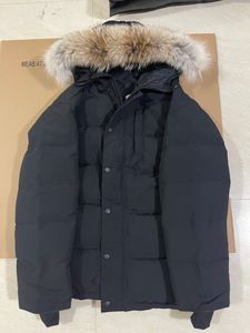 üst kat moda mens toptan satış-Üst Moda Sonbahar Kış Stil Erkekler Ceketler Erkek Aşağı Palto Rüzgarlık Yüksek Kalite Parkas Klasik Giyim Gerçek Kürk