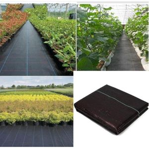 Wholesale vegetable landscape for sale - Group buy Other Garden Supplies M Ground Cloth Cover Control Fruit Tree Mat PE Fabric Landscape Vegetable Grow Membrane Mulch Tools Greenhous