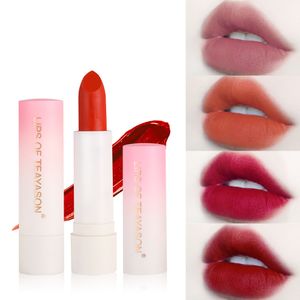 Teyason Moda Kolory Matowe Retro Czerwona Peach Szminka Maquillaje Wodoodporna Maquiagem Lips Makijaż Lato Makijaż Kosmetyki Lip Gloss