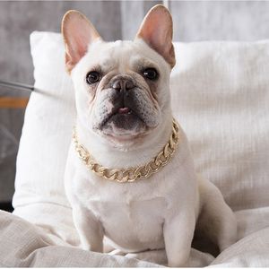 collares de gato de oro al por mayor-Hip Hop Teddy Fadou Dog Big Gold Cadena Pequeño y mediano collares de perro PET COLLACE CAT ACCESORIOS COLOR T2I51860
