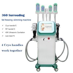 Cryolipolysis Vacuüm Vetvermindering Afslank Machine Graden Koeling Cryo Handgrepen Body Cellulitis Machines te koop