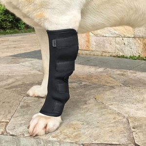 Dog Apparel Black Legs Brace Pet Knee Hock Protector Dogs Pad Therapeutic Support Shockproof Outdoor Training Protect