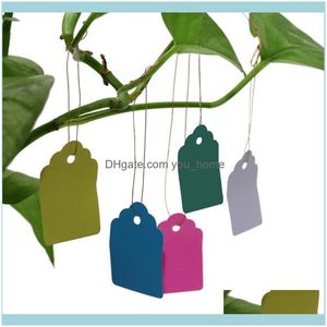 Wholesale Reusable Plastic Plates - Buy Cheap in Bulk from China