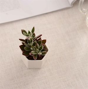 Ceramic Bonsai Pots Mini White Porcelain Flowerpots Suppliers For Seeding Succulent Indoor Home Nursery Planters V2