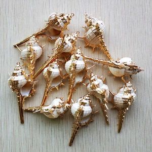 Groothandel stks partij Natural Gold Side Carrch Shells voor DIY Pendant Beige Seashell Craft Handmade Sieraden Accessoires Gratis G0927