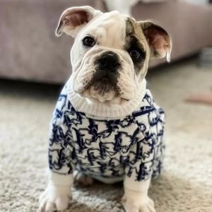 Klasyczny Pet Coat Designant Dog Odzież Cute Puppy Swetry Letter D Luksusowe Dogi Odzież Zwierzęta Moda Ciepłe Dzianie Dla Duża Odzież Dog