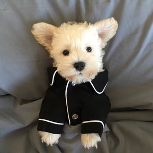 Mały pies odzież płaszcz Pet Puppy Piżamy Czarne Różowe Girls Pudel Bichon Teddy Odzież Cotton Boy Bulldog Softfeeling Koszule Zima S2