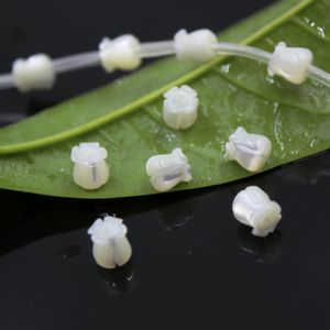 ingrosso fiori di conchiglie marine-10PC mm Bianco Sea Flower scolpito Natural Madre di perla Perline Perline FAI DA TE Risultati perline per gioielli per fare gioielli Dyl0003