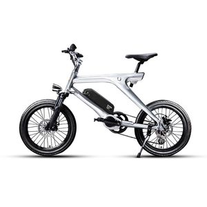 couple électrique achat en gros de Vélo électrique pouces Moyen couple V Batterie au lithium Batterie Ebike Puissance à vélo Aide de à km