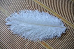 100pcs parti inch cm vit strutsfjädrar plumes för bröllopscentrum för bröllopsfesthändelse