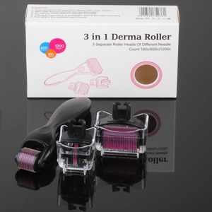 Wholesale micro function for sale - Group buy 3 in functions needles disk micro needle skin roller Titanium alloy derma roller facial beauty roller