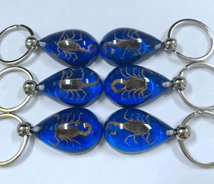 Wholesale blue scorpions resale online - yqtdmy gold color scorpion blue fashion chic keychain