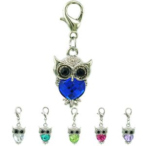 Mode dieren drijvende charme met kreeft sluiting Dangle Plastics Crystal Owl Hangers DIY Charms voor Sieraden Maken Accessoires