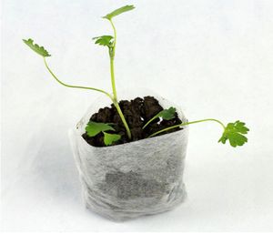 100pcパックの花植物有機野菜種子発芽苗の芽キュア袋を育てる鍋不織布袋の通気性劣化