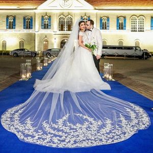 Wholesale cathedral length tulle veil for sale - Group buy Luxury M Wedding Veils With Lace Applique Long Cathedral Length Veils Two Layers Tulle Bridal Veil