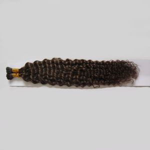 1g pc Pre Bonded Hair Extensions I Tip Kinky Curly Fusion Hair I Tip Stick Keratin Dubbeldragen Remy Hair Extension