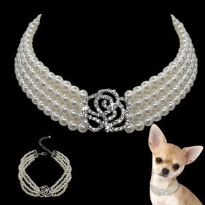 10 stks Pearl Dog Ketting Kraag Mode Jeweled Puppy Kat Kraag met Bling Rhinestone Diamante Dog Pet Accessoires Benodigdheden