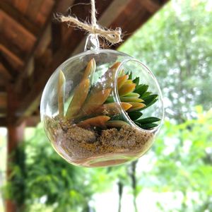 glass flower globe оптовых-Шар Глобус форма ясно висит стеклянная ваза цветочные растения террариум контейнер микро пейзаж DIY свадебный подарок
