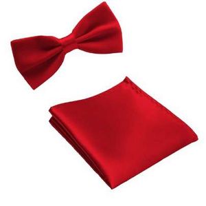 Neck Tie Set Bow Ties for Men Pocket square Wedding Polyester Butterfly Handkerchief Bowtie