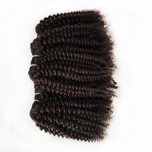 Aantrekkelijke Afro Krullend C Haar Natuurlijke Kleur Inch Stks Braziliaanse Virgin Menselijk Haarverlenging Peruviaanse Maleisische Indiase Remy Hair Weave