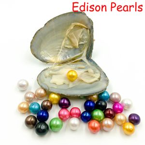 perle d'eau douce 12mm achat en gros de 2019 New Edison Oyster perle perles de couleur Mix eau douce cadeau bricolage perles naturelles en vrac Décorations d emballage sous vide en gros