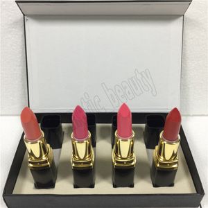 Hot Makeup Professional Lip Makeup Matte lipstick set color Lips cosmetic black tube kit high quality