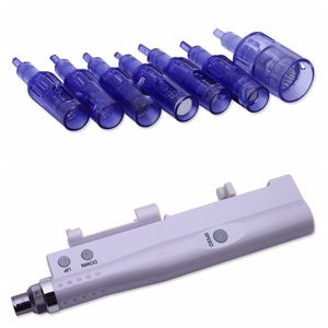 Nieuwe Collectie Dermapen Cartridge voor elektrische Microneedling Auto Mesotherapie Injectie Pistool Crystal Injector Nano Naald Derma Pen