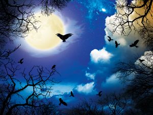 ingrosso foto di sfondo di halloween-Halloween Cielo notturno Luna Vinile Fondali Fotografia Alberi forestali Uccelli Photo Booth Sfondi per oggetti di scena in studio