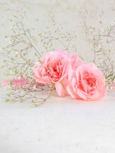 Różowe róże i płatki winylowe fotografia backdrops noworodka baby budka tła dla dzieci studio rekwizyty